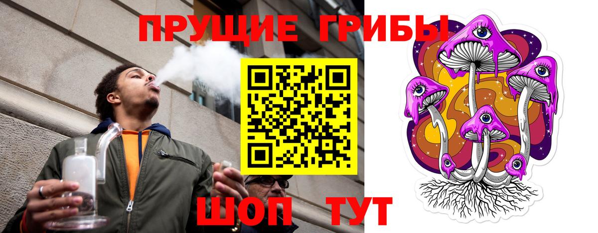 Псилоцибиновые грибы GOLDEN TEACHER  Вход с VPN  Кизляр 